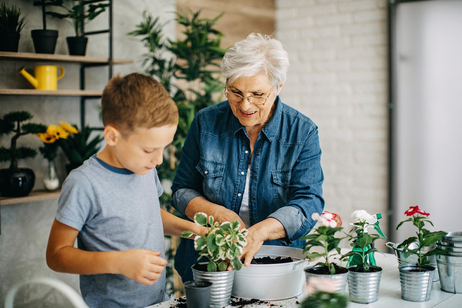 young boy and white haired elderly woman potting a plant